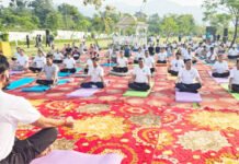 मुख्य सचिव संग हजारों लोगों ने किया योग, प्रकृति की गोद से गूंजा स्वास्थ्य का संदेश